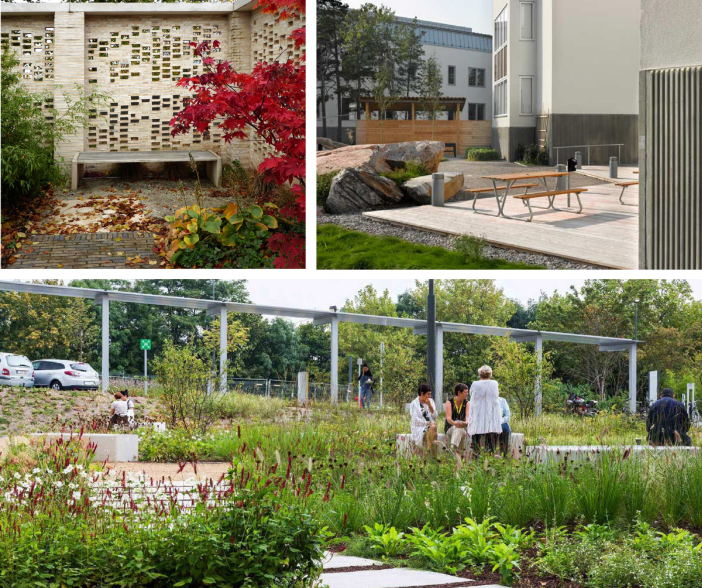 vizualizace léčivá zahrada ON Náchod