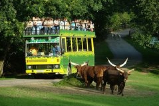 Zoo ve Dvoře stoupá návštěvnost, loni přišlo 538 tisíc lidí