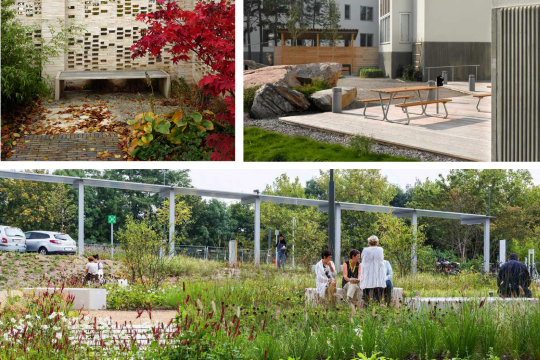 vizualizace léčivá zahrada ON Náchod