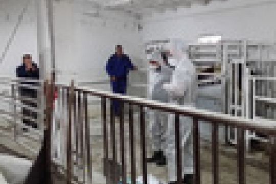 Veterinární cvičení