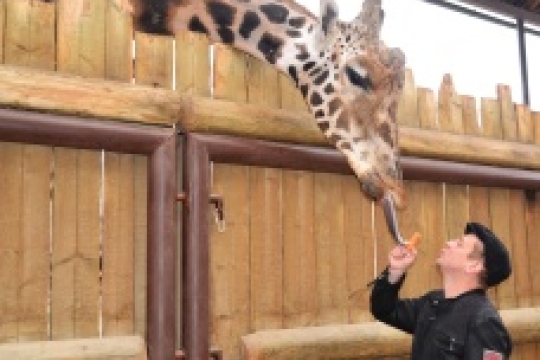 Svou velikonoční nadílku dostali i lidoopi, děti se radovaly z obrovské zmije