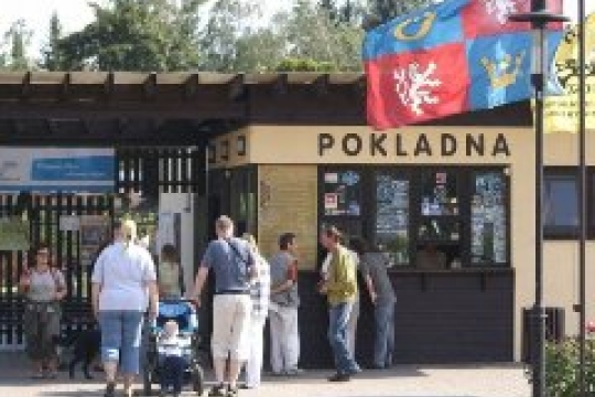 ZOO si polepšila v hospodaření. Příští rok chce přivítat až půl milionu návštěvníků