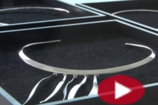 VIDEO: Festival krásných umění v Hořicích