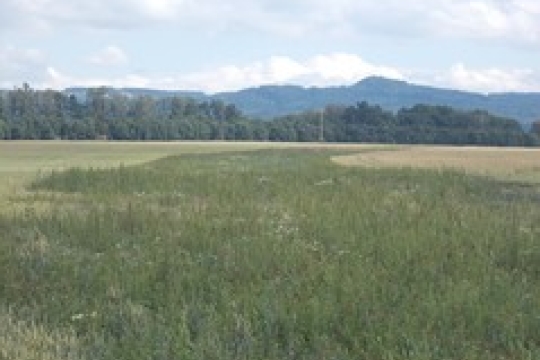 Jičínu se výrazně ulehčí díky přeložce