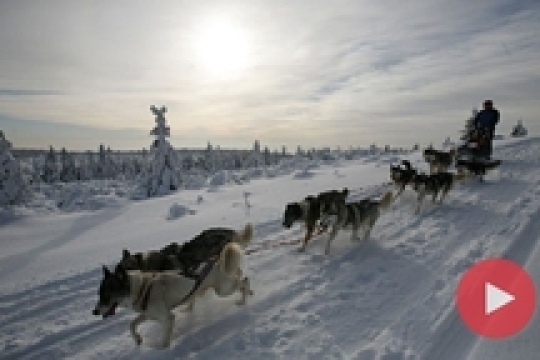 VIDEO: Sníh, mráz a dřina. Takový je Šediváčkův long 2017