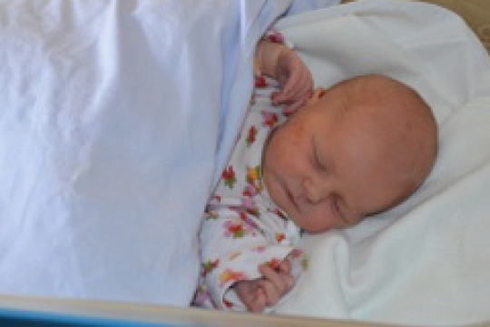 V krajských porodnicích se vloni narodilo 3 130 dětí, z toho bylo 17 dvojčat