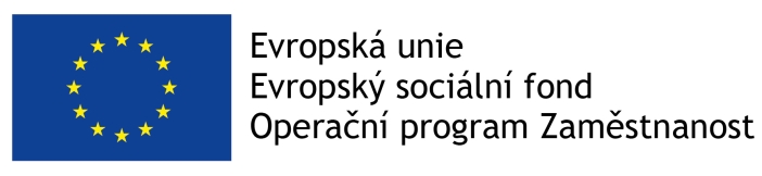 logo Operační fond Zaměstnanost