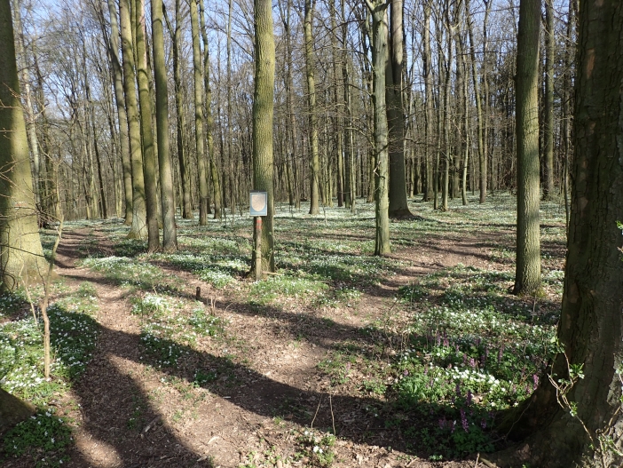 Hoříněvská Bažantnice 2