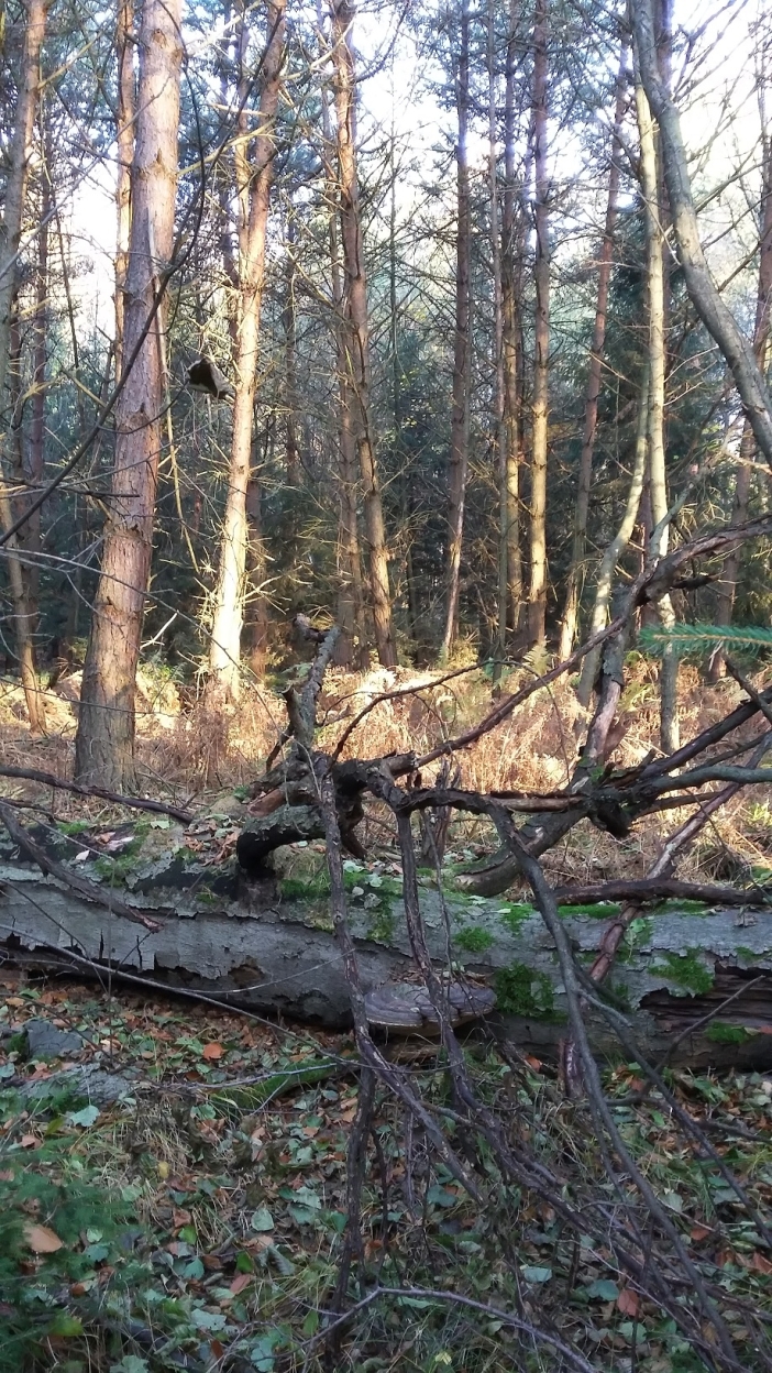 U Cisařské studánky 2