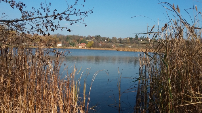 Roudnička a Datlík 2