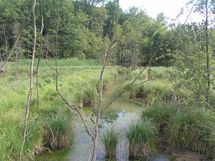 Dymokursko - Bahenské louky