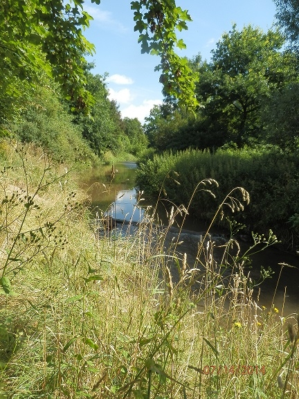 Javorka Cidlina Sběř