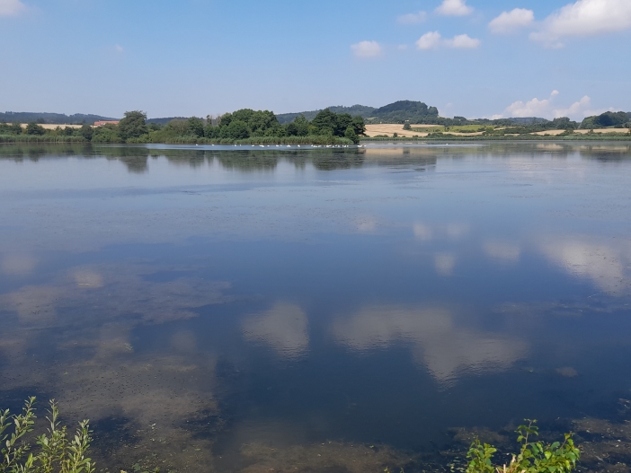 Ostruženské rybníky 1