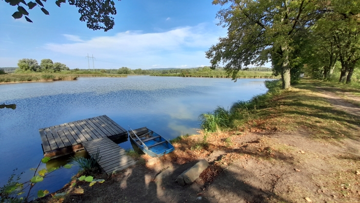 Miletínská bažantnice 1