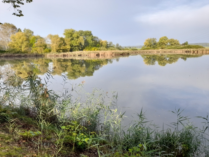 Miletínská bažantnice 3