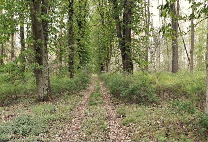 Kovačská bažantnice