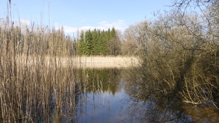 Rybník Strašidlo 2