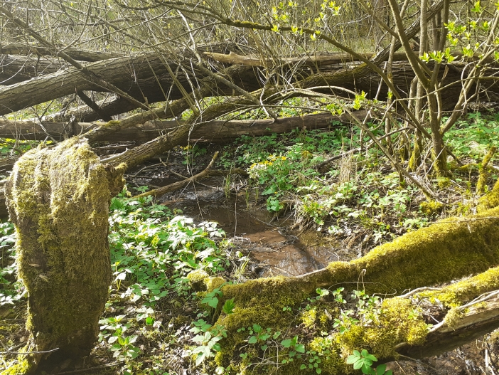 Šestajovická stráň 1