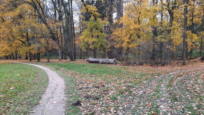 Kostelecký zámecký park 1