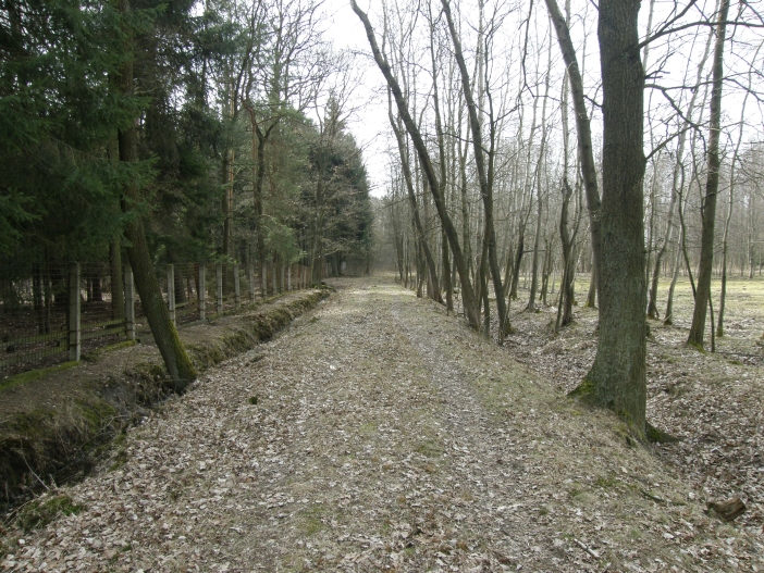 Týnišťské Poorličí1