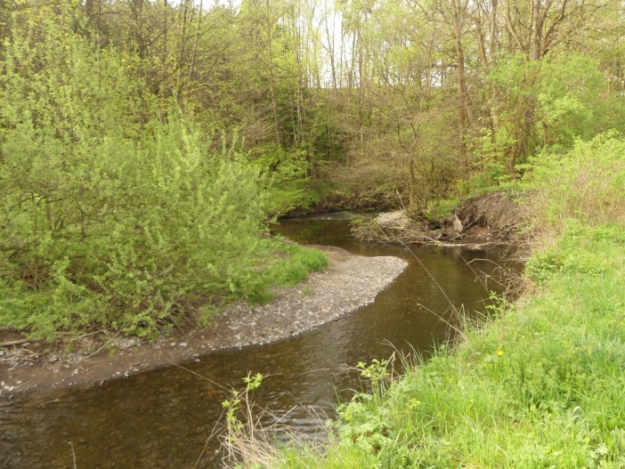 Dědina u Dobrušky 1