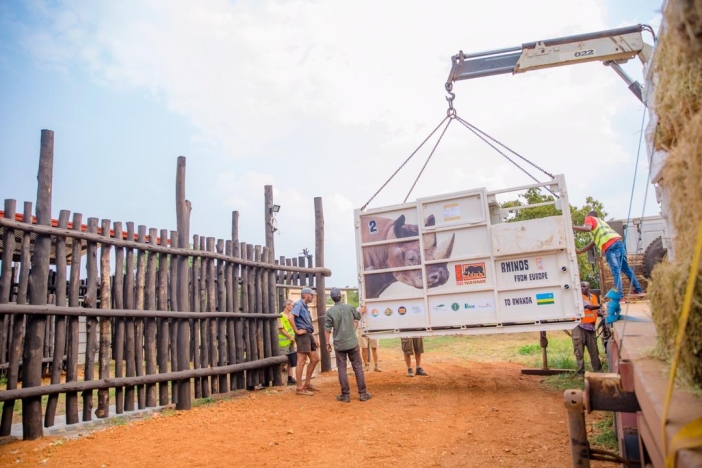 Safari Park Dvůr Králové bezpečně přepravil pět nosorožců do Rwandy