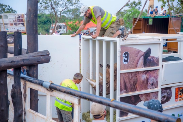 Safari Park Dvůr Králové bezpečně přepravil pět nosorožců do Rwandy