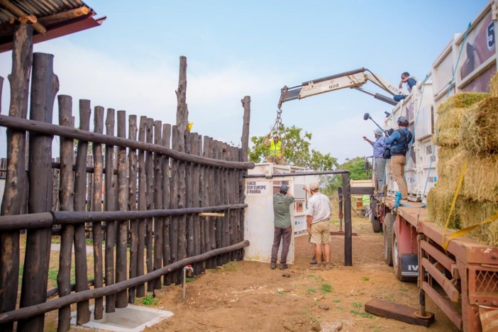 Safari Park Dvůr Králové bezpečně přepravil pět nosorožců do Rwandy